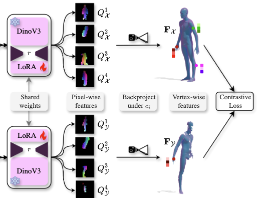 Teaching DINOv3 About Partial 3D Geometry: A Self-Supervised Geometry-Aware Approach