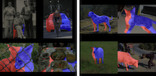 Unsupervised Pixel-Level Semantic Left-Right Understanding of In-the-Wild Images