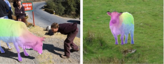 Manifold Embedding of Deep Image Features for Image Matching via Neural Adjoint Maps